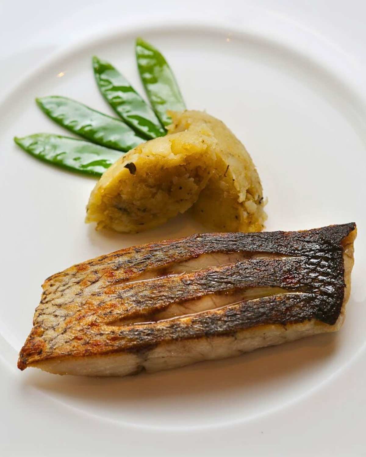 Best Luxury Restaurants Florence with River Views for Fine Dining